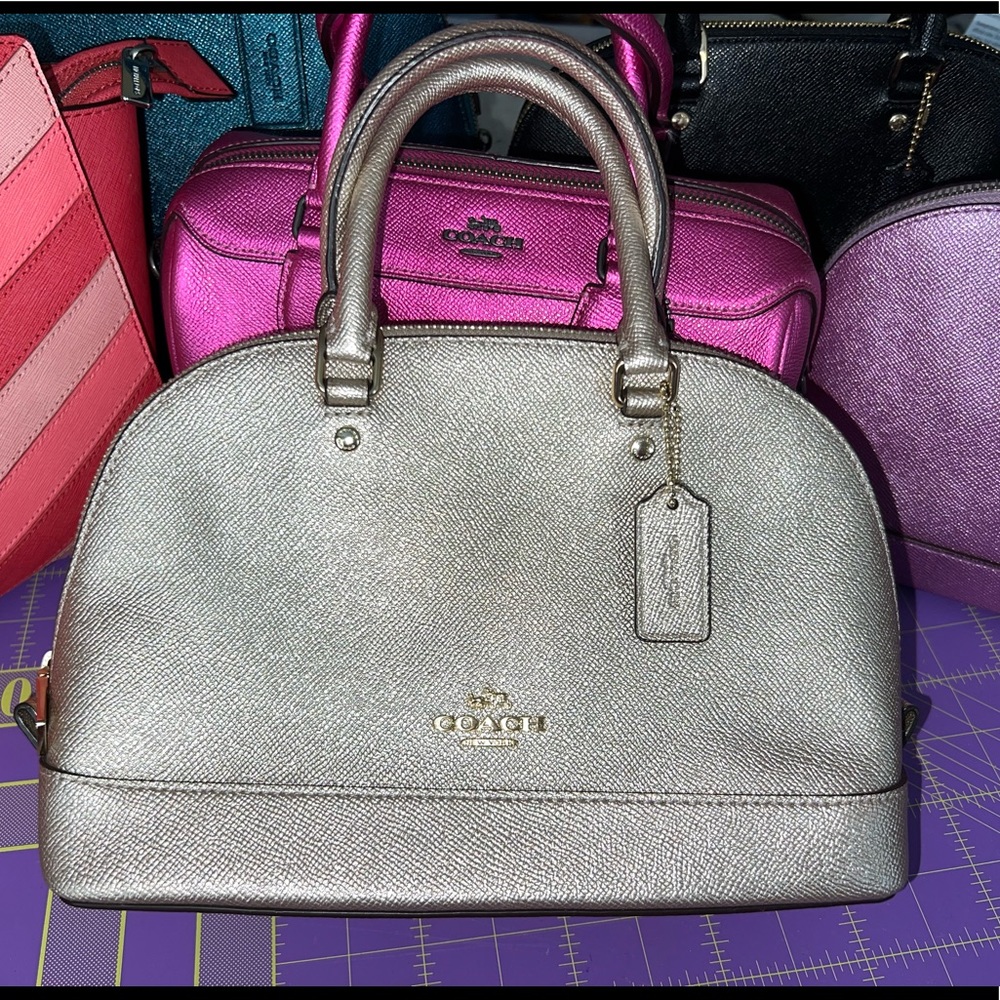Coach Sierra mini
